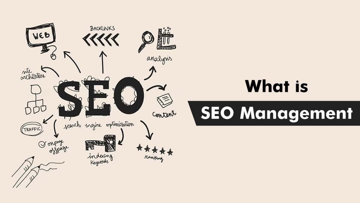 What is SEO Management? Ultimate Guide to Success for SEO Managers