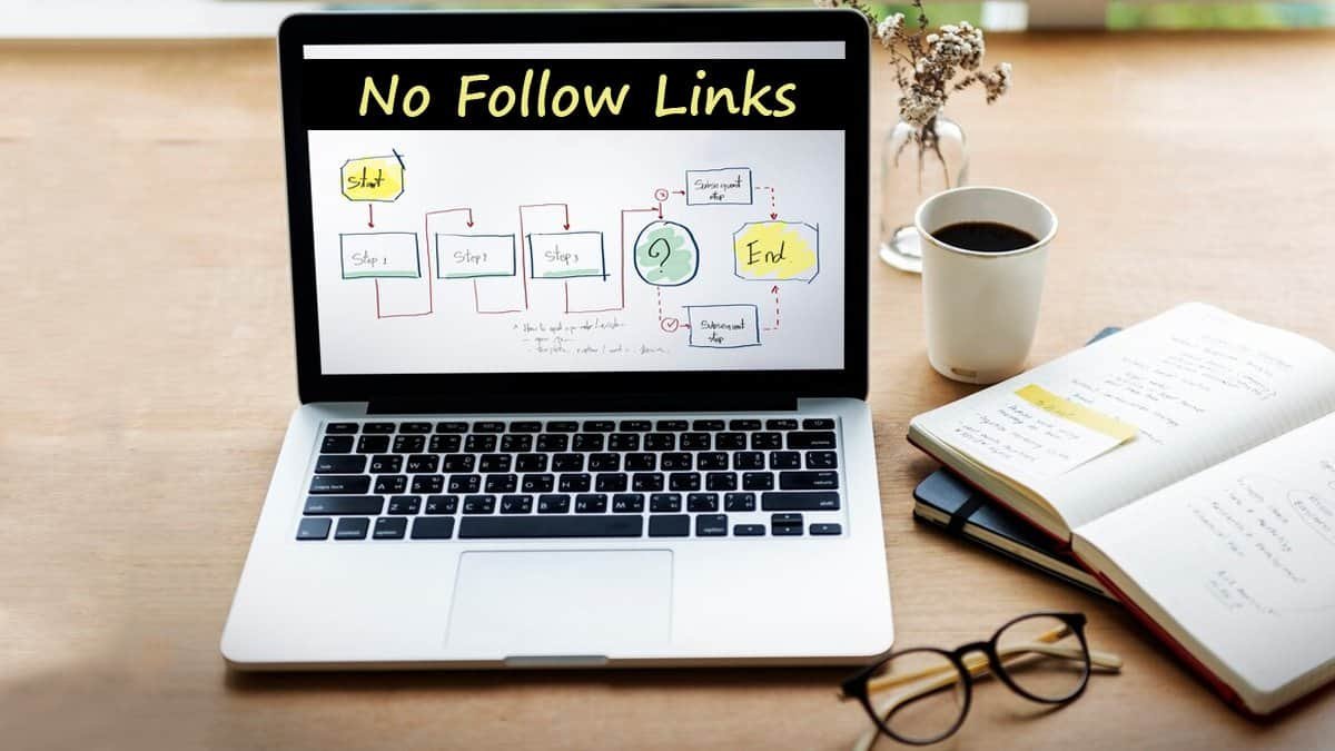 The Power of No: Facts About No Follow Links
